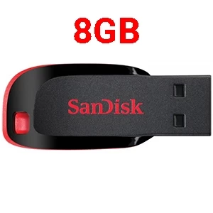SanDisk Flash Drive 8GB