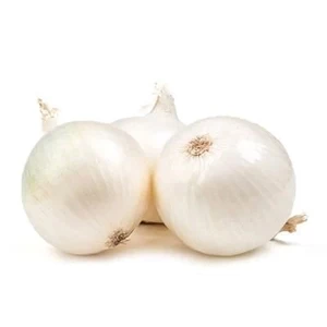 Onions - White x7
