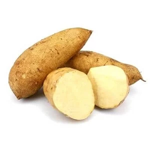 Sweet Potato - White 2 kg
